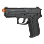 Swiss Arms Air Pistol SIG SP2022 - Image 2
